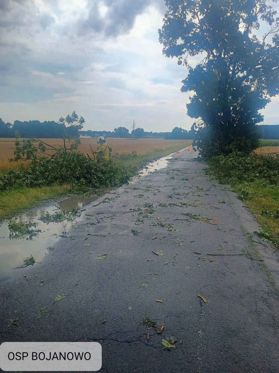 Złamany konar zablokował jezdnię w Sułowie Małym