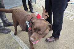 jarmark-bojanowo-0031