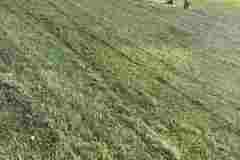 b9649da3-01a6-4fd1-9cc3-7afe2278e9b0