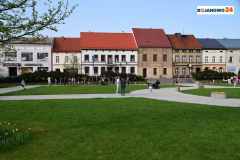 zajaczek-2025-w-bojanowo-411