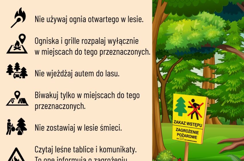  Pożary lasów – zagrożenie, którego możemy uniknąć