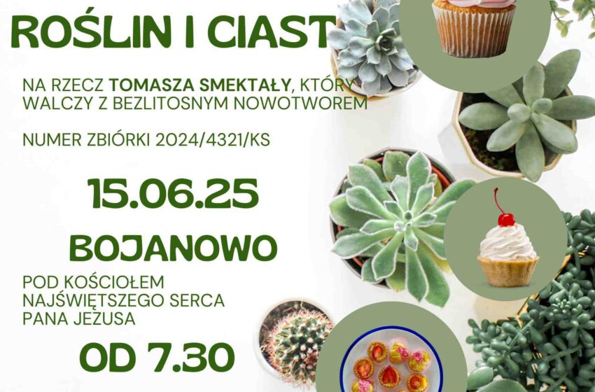 Kiermasz roślin i ciast w Bojanowie – pomóżmy Tomaszowi Smektale!
