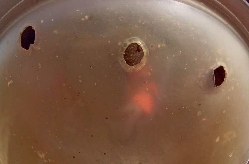  Uszkodzone lampy uliczne w gminie Bojanowo